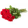 red roses. Plovdiv