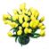 yellow tulips. Plovdiv